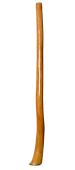 Gloss Finish Flared Didgeridoo (TW1204)